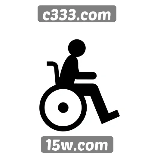 Acessibilidade e usabilidade do c333.com